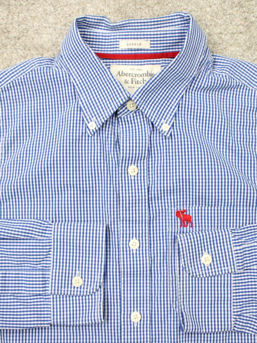 Abercrombie & Fitch Shirt Mens Large Blue Check Muscle Fit Y2K Moose Long Sleeve
